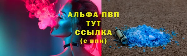 мдпв Богородск