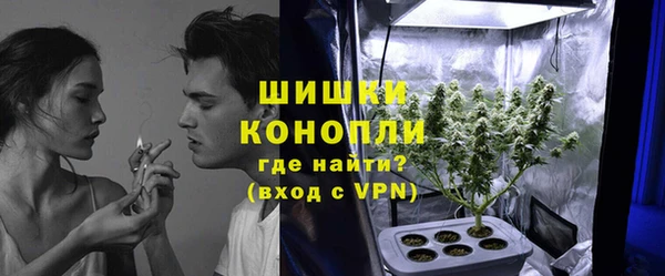 мдпв Богородск