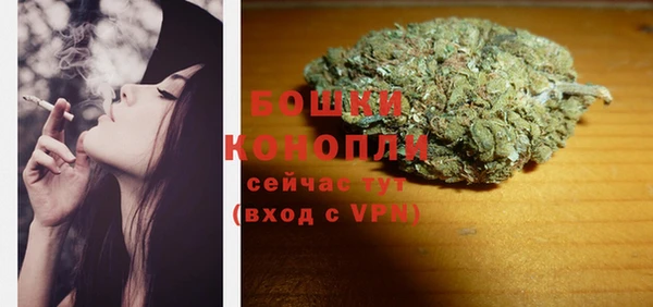 мдпв Богородск